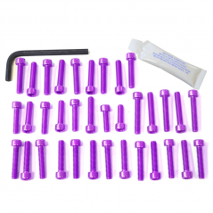 PRO-BOLT Kit tornillería aluminio motor EOKT50 50551VAR