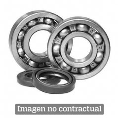 ALL BALLS KIT, BEARINGS, CRANKSHAFT 24-1057 34564