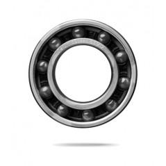 CERAMICSPEED BEARINGS 618052-RSLT9HHC5 5711050000647