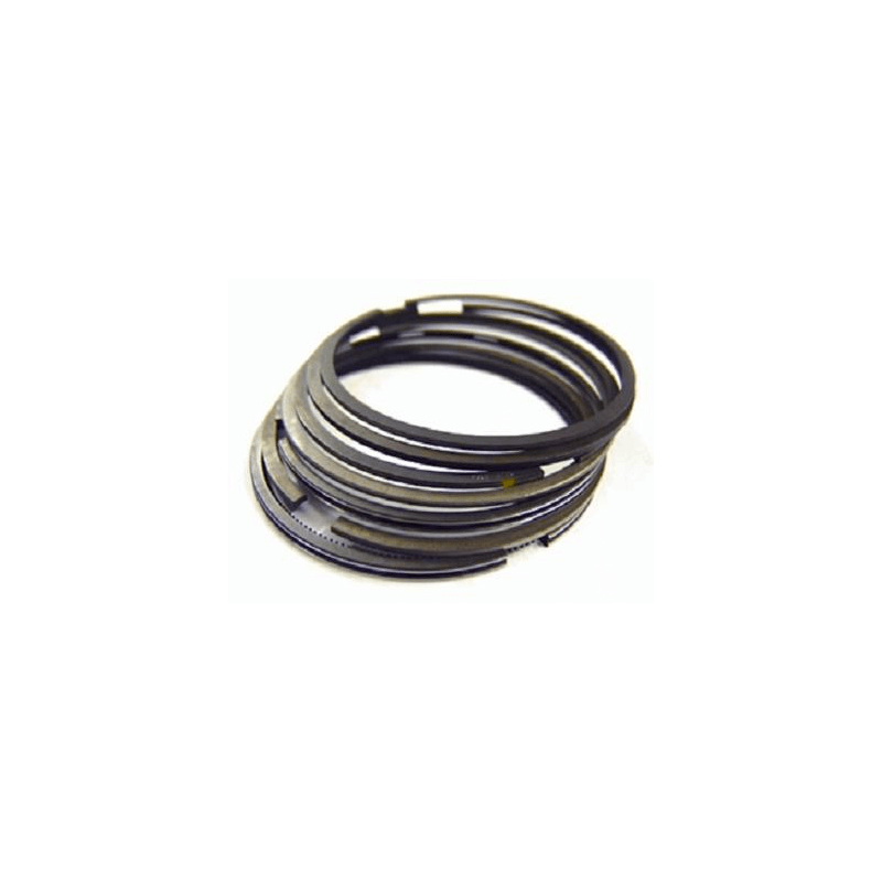 WISECO Game of segments 100 MM VM3895
