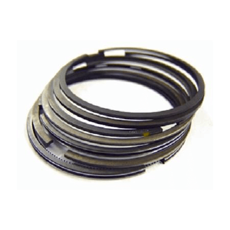 WISECO Game of segments 100 MM VM3895