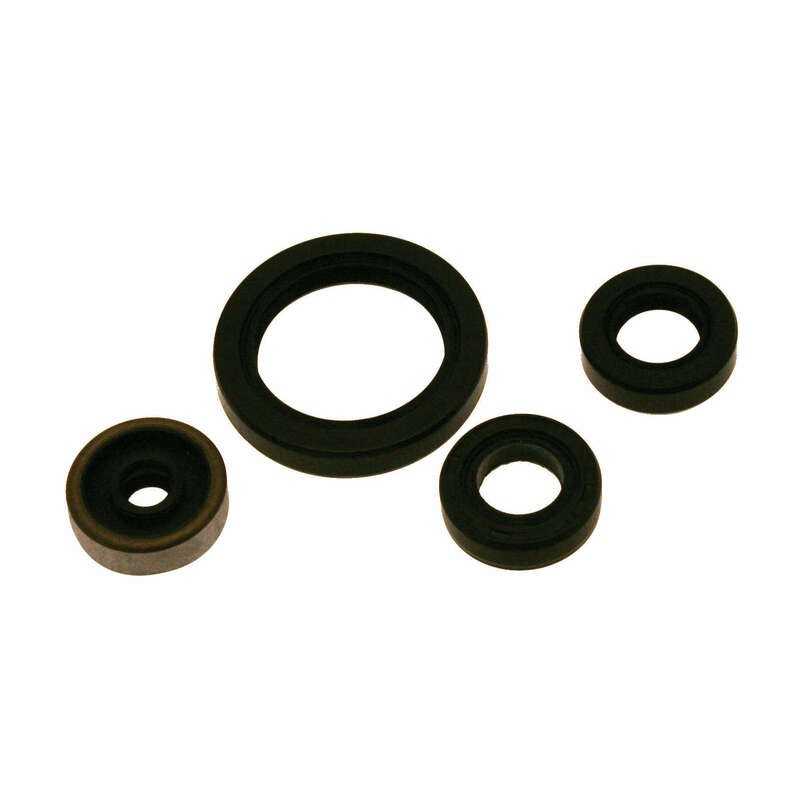 CENTAURO Engine oil seals kit 11200014