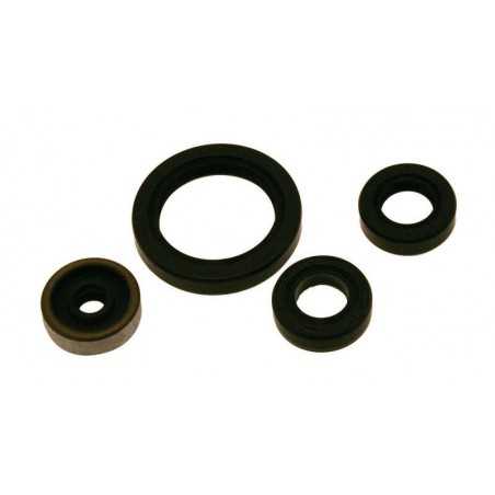 CENTAURO Lower part spi joint kit 1014759