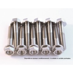 SCAR Titanium Engine Bolt Kit 4460115545