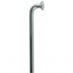 DT SWISS Angled stainless steel spokes without nipples CHAMPION M 2 MM (100U) 716636VAR-2