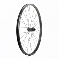 VUELTAUSA Rueda delantera MTX 29 15X100 PGRUMTX29D