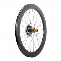 PROGRESS Bicycle rear wheel NEON DISC 12X142 SRAM XDR PUNEDCTXDRNG