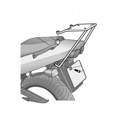 Trunk supports, anchors, settings  Top Master