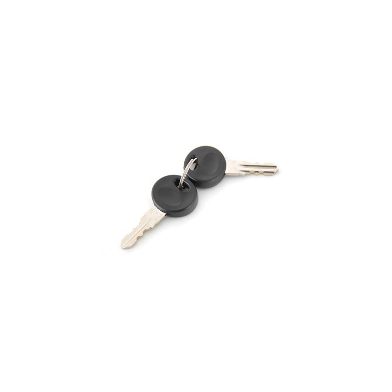 BUZZ RACK Recambio 2 llaves para cerradura de portabicicletas K003 59128