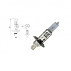 CARPRISS Lámpara bombilla para camión H1 24V 75W (10UD) 79780233