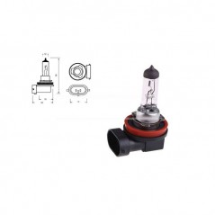 CARPRISS Lámpara bombilla para coche H11 12V 55W (10UD) 79780245
