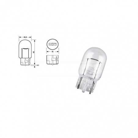 CARPRISS Caja 10 lámparas sin casquillo 12V 21W 79780298