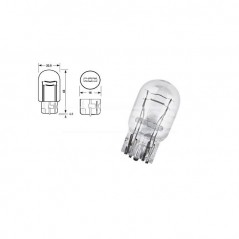 CARPRISS Caja 10 lámparas bombilla sin casquillo 12V 21/5W 79780299