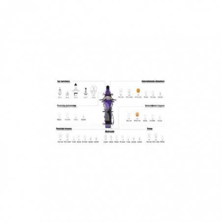 CARPRISS Blister 2 lámparas bombilla tubular T4W CANBUS 12V 1 LED SMD 79780305