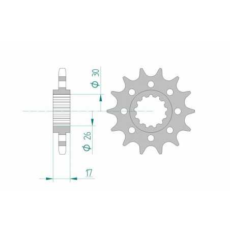 AFAM Piñón acero estándar 20615 525 1075192002