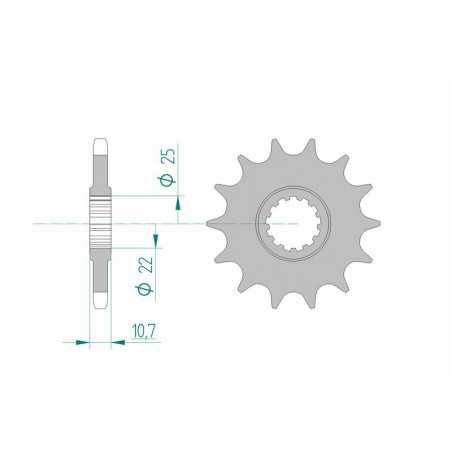 AFAM Piñón acero estándar 21606 525 1075601002