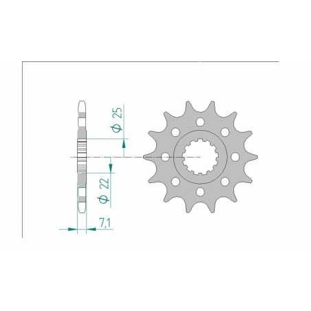AFAM Piñón acero estándar 24511 520 1076408002