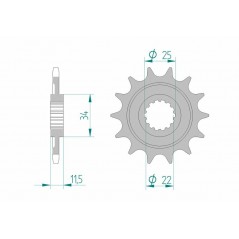 AFAM Standard steel pinion 43400 520 1076854002