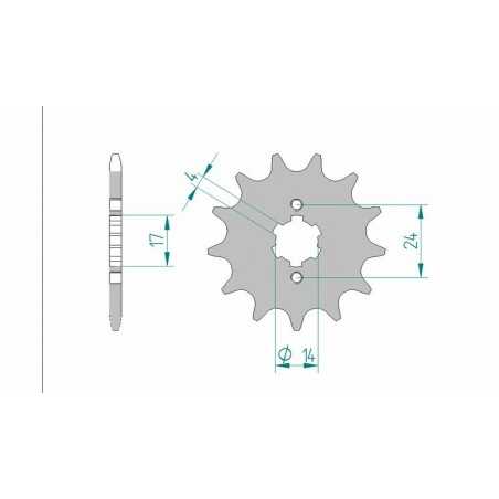 AFAM Piñón acero estándar 49102 420 1076910002