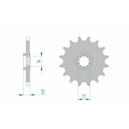 AFAM Piñón acero estándar 58102 420 1077112002