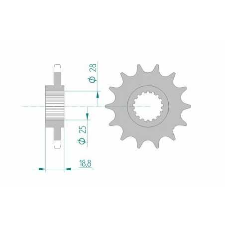 AFAM Piñón acero estándar 61600 525 1077121002