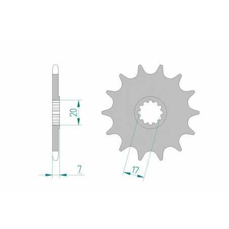 AFAM Piñón acero estándar 94109 420 1077157004