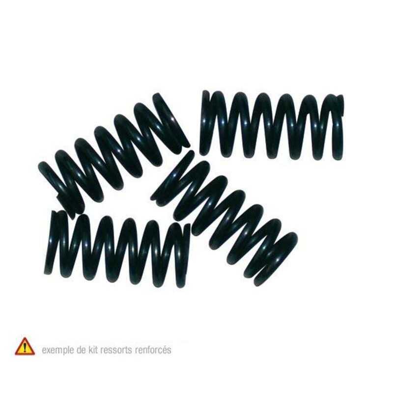 NEWFREN Kit muelles de embrague 1018386
