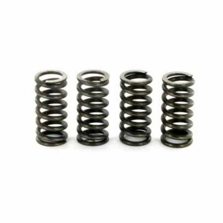 TOP PERFORMANCES Reinforced clutch springs 100 KG 1018539