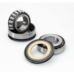 BUZZETTI Kit rodamientos columna de direccion 1043386