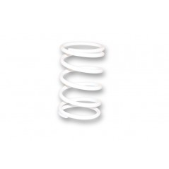 MALOSSI Compression spring for variator 67 9x120 MM/ Ø5.4 MM/ 8 8K 1109114