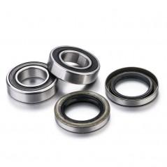 FACTORY LINKS KIT, BEARINGS, WHEEL, REAR 1106587