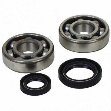 PROX KIT, BEARINGS AND SEALS FOR CRANKSHAFT 1117589