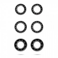 PROGRESS Rear bearings (wheel mounted) CERAMICSPEED PGINCMKITRO4T