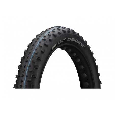 SCHWALBE Folding tire for bicycle JUMBO JIM 26x4.40 HS466 EVO SUPER GROUND TUBELESS ADDIX SPEEDGRIP 110-559 707030