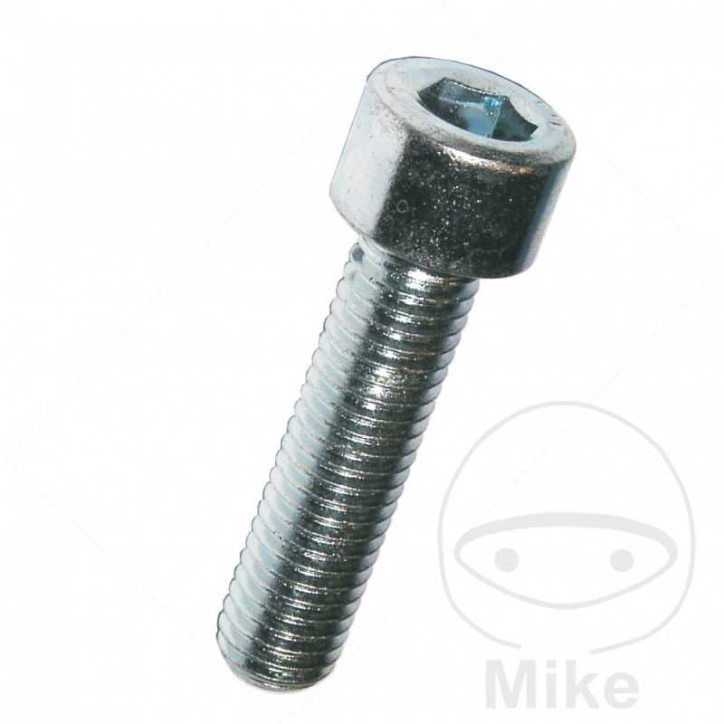 DRESSELHAUS zinc plated allen screw 6x16 912 8.8
 (100U) 736.39.48