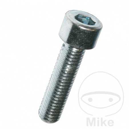 DRESSELHAUS Screw 4 912 482.00.00VAR
