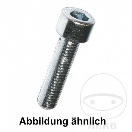 DRESSELHAUS Allen screw A2 5x16 DIN912
 (100U) 736.04.23