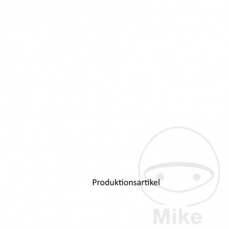 DRESSELHAUS Allen screw DIN 912 A2 
M4x0.7 10 MM (10U) 775.10.02