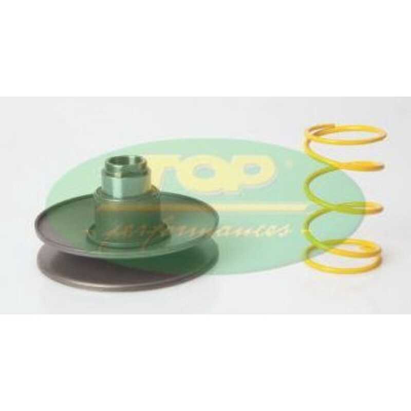 TOP PERFORMANCES Movable semi-pulley 1018531