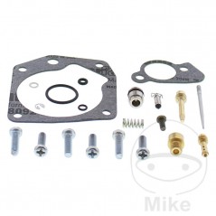 ALL BALLS Carburetor repair kit 724.33.92