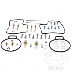 ALL BALLS Carburetor repair kit 724.34.38