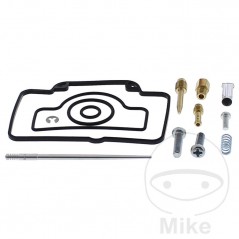 ALL BALLS Carburetor repair kit 724.34.53