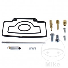 ALL BALLS Carburetor repair kit 724.34.58