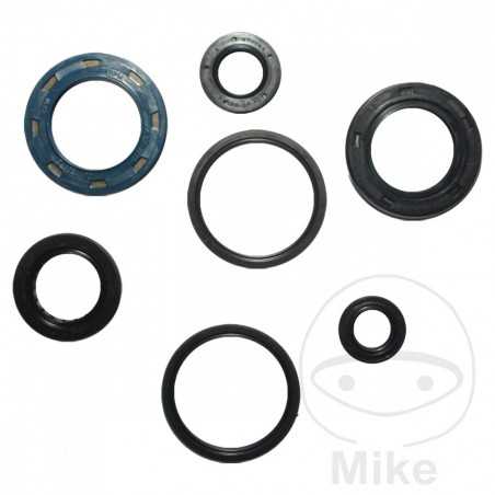 ATHENA seal kit 734.03.25