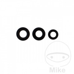 ATHENA seal kit 734.22.33