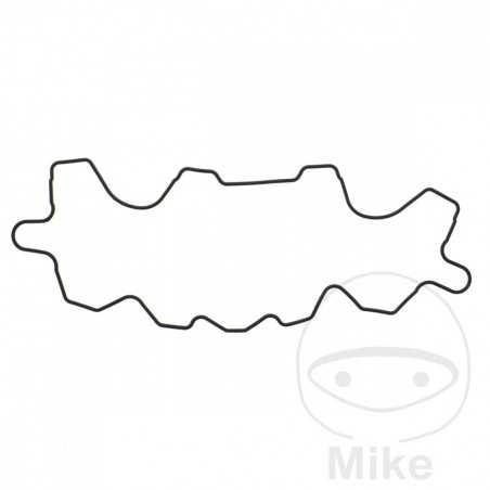 ATHENA Valve cover gasket 734.22.49