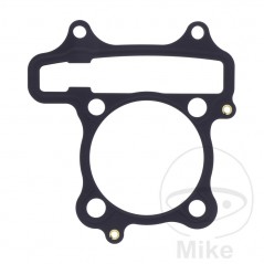 Head gasket (Rec. Original) OEM 734.79.76