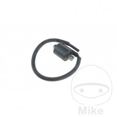 High Coil (Original Spare Part) OEM 700.15.81