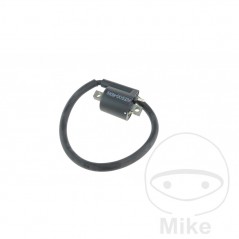High Coil (Original Spare Part) OEM 700.15.81