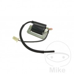 High Coil (Original Spare Part) OEM 700.15.87